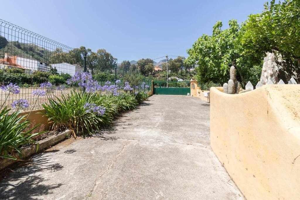 Villa Ojuelos Gran Canaria Vega de San Mateo Dış mekan fotoğraf