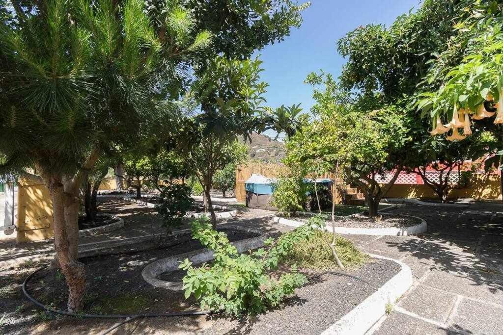 Villa Ojuelos Gran Canaria Vega de San Mateo Dış mekan fotoğraf