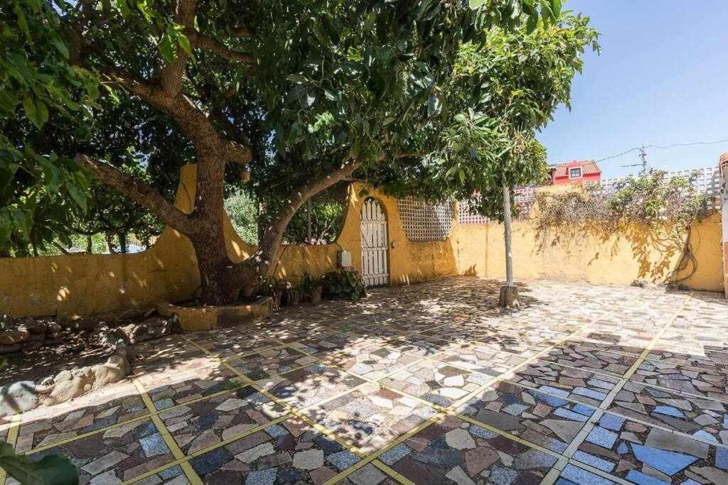 Villa Ojuelos Gran Canaria Vega de San Mateo Dış mekan fotoğraf